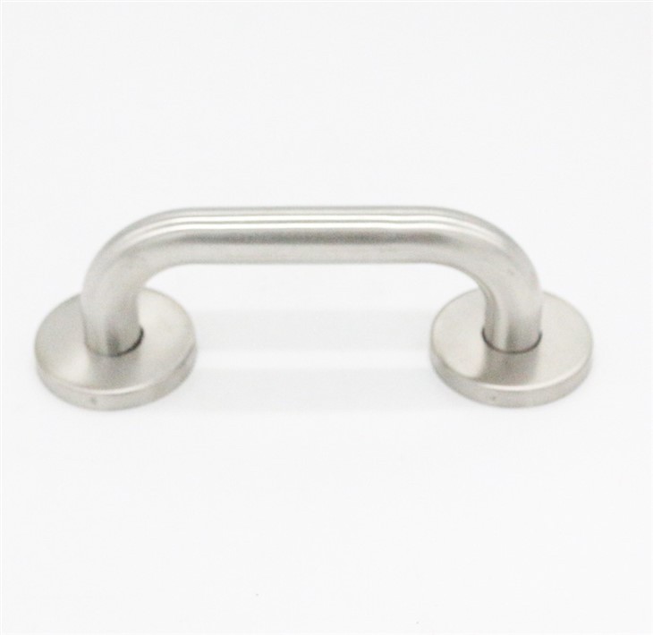 Stainless Steel Disabled Door Handles (1)